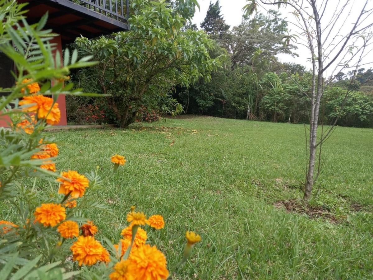 Villa Casa De Montana Tica Linda Monteverde Exterior foto