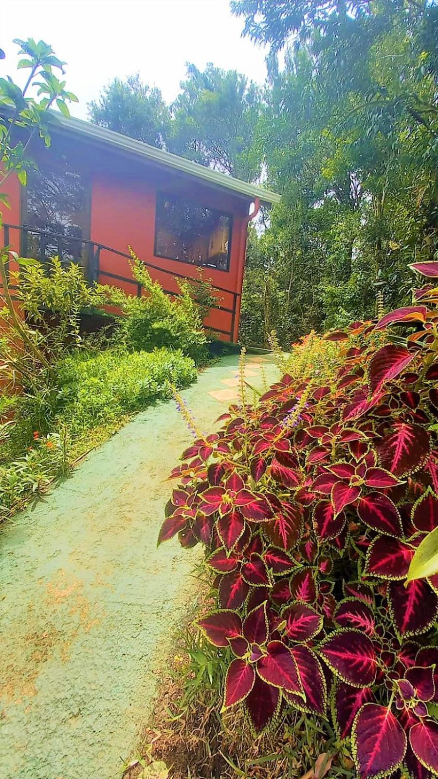 Villa Casa De Montana Tica Linda Monteverde Exterior foto